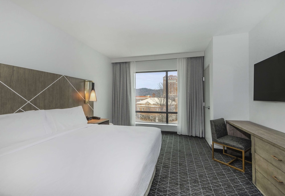 Embassy Suites By Hilton Asheville Downtown - photo 8