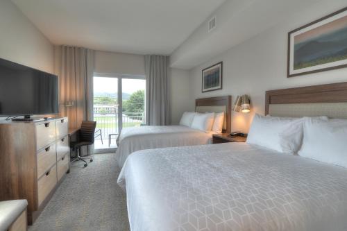 Holiday Inn & Suites Pigeon Forge Convention Center an IHG Hotel - photo 29