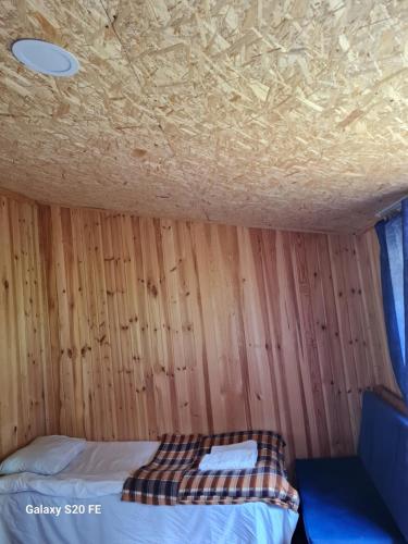 Lio in Unknown City, Georgia