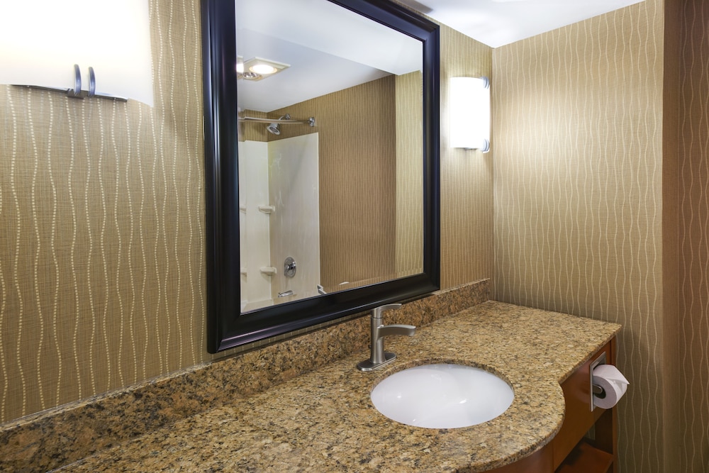 Holiday Inn & Suites Bolingbrook by IHG - photo 30