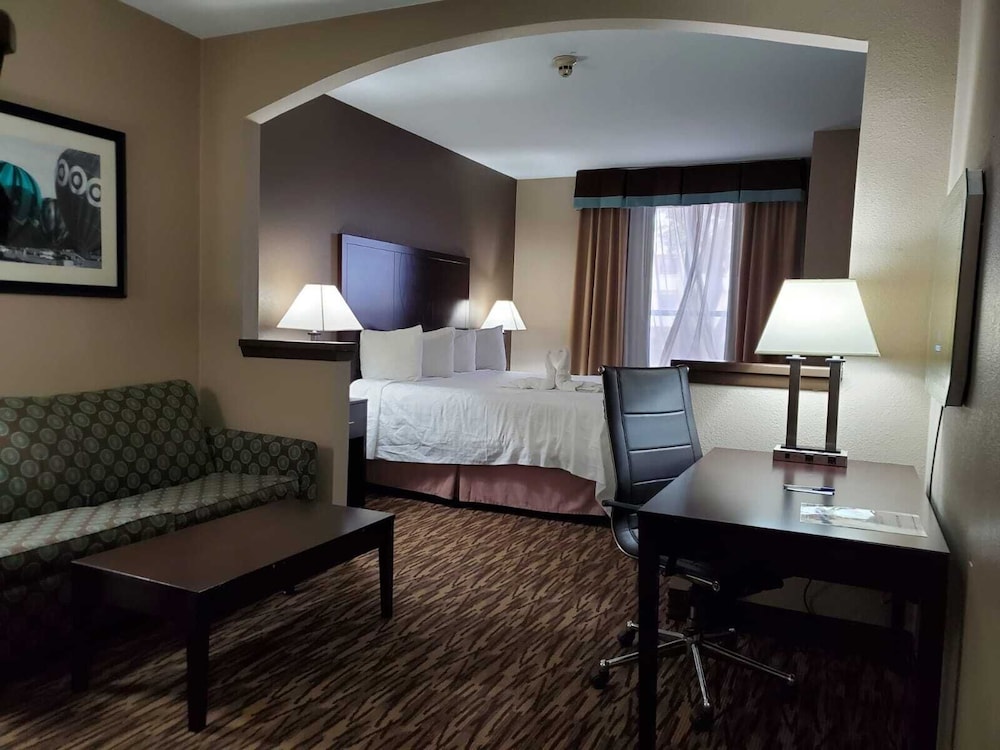 Comfort Suites Plano East Richardson - photo 17