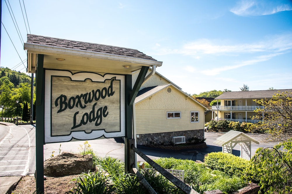 Boxwood Lodge - photo 98