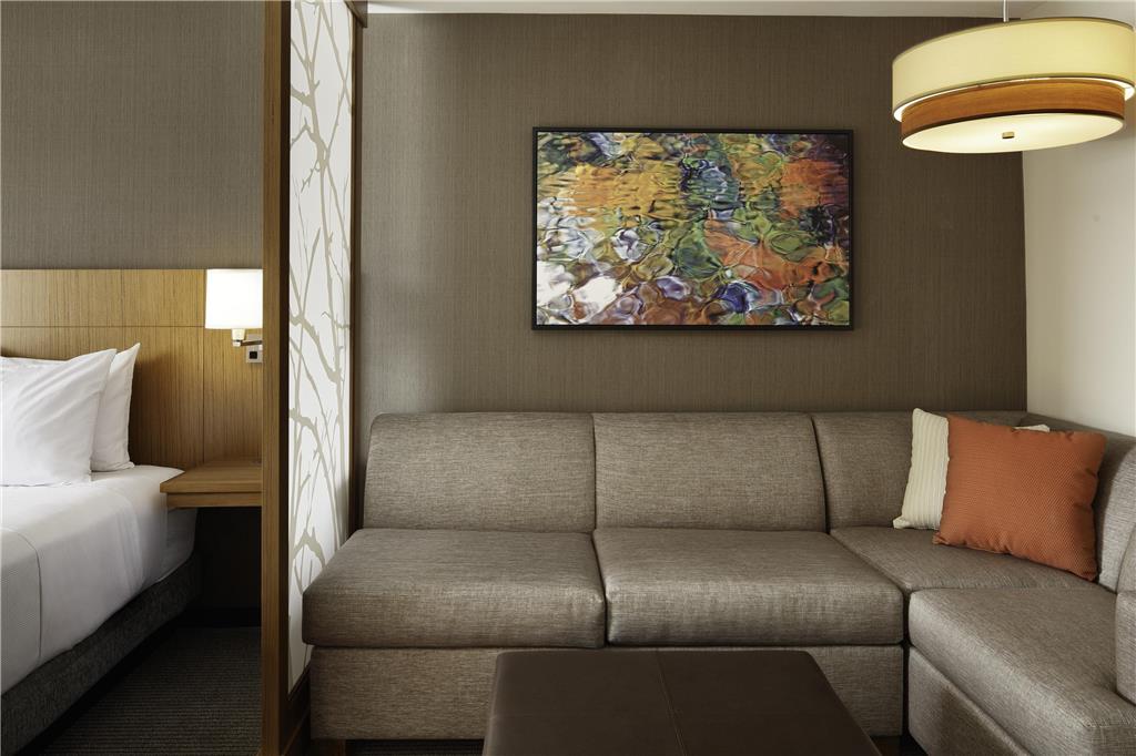 Hyatt Place Knoxville Downtown - photo 16