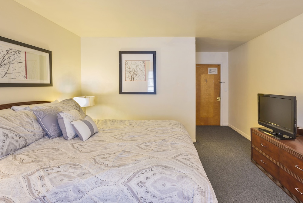 Palm Grove Inn - photo 4