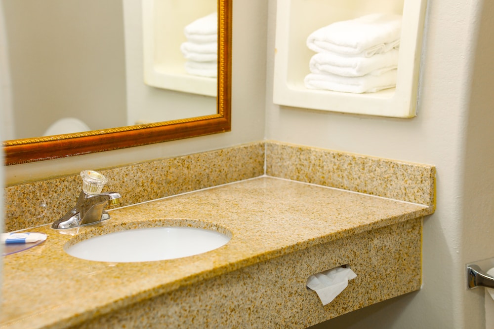 Wintergarden Inn - photo 15