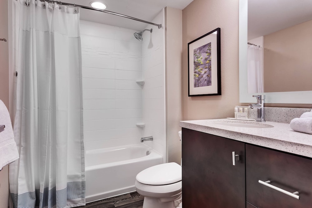 TownePlace Suites by Marriott Austin Parmer Tech Ridge - photo 20
