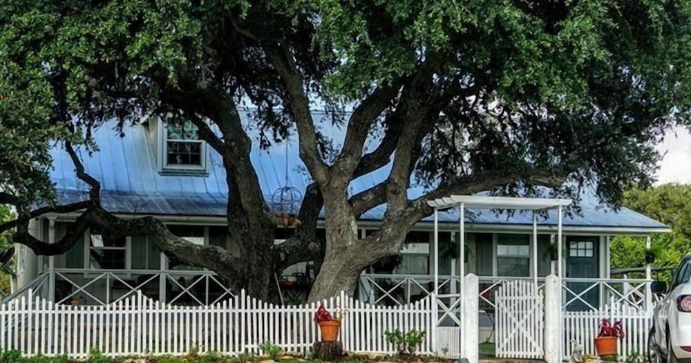 The Alexander at Creek Road - photo 279