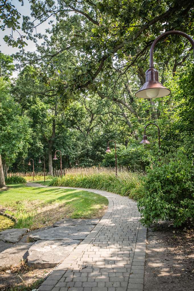 Hyatt Lodge Oak Brook Chicago - photo 28