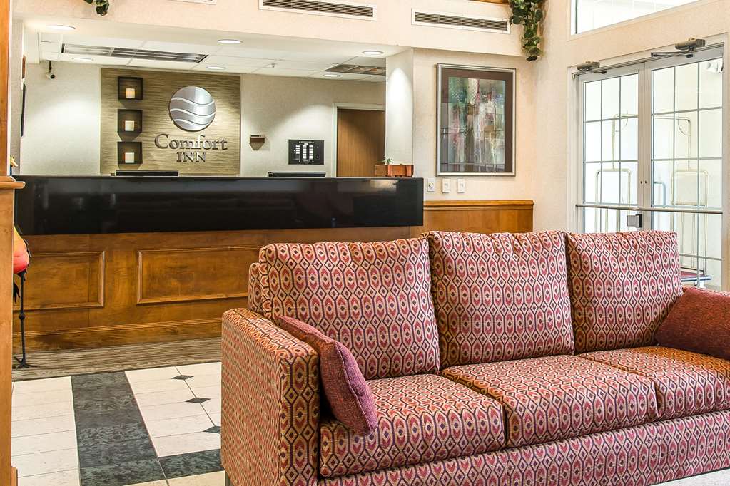 Comfort Inn Chelsea - photo 5