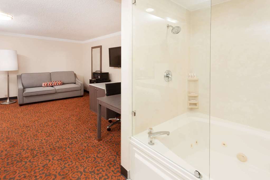 Baymont by Wyndham Chicago Alsip - photo 14
