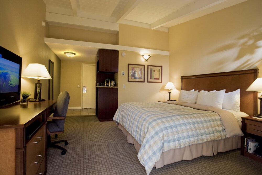 The Cottages Hotel - photo 4