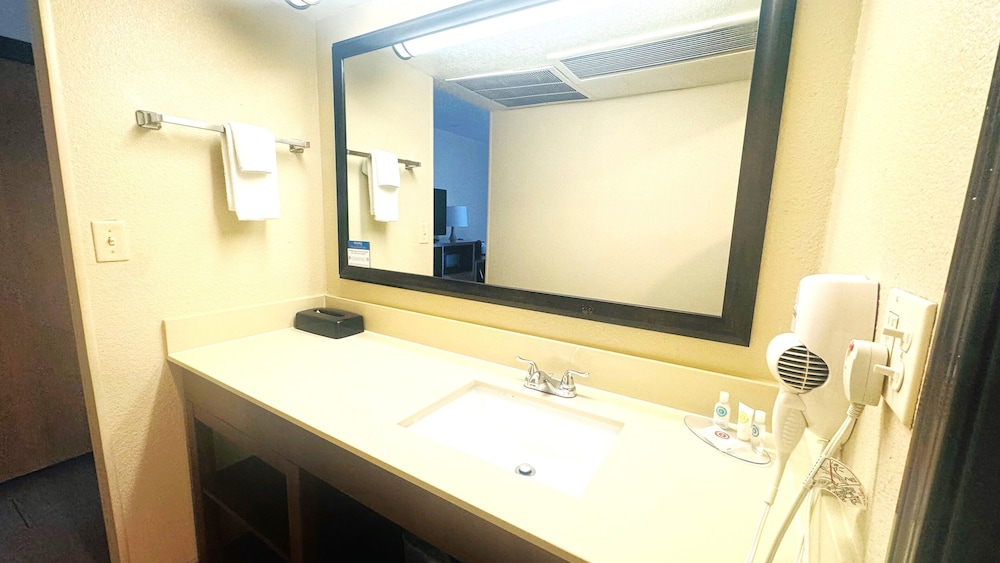 Comfort Inn Salt Lake City Downtown - photo 59
