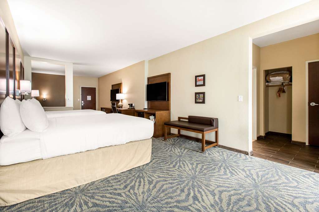 Comfort Suites South Austin - photo 14
