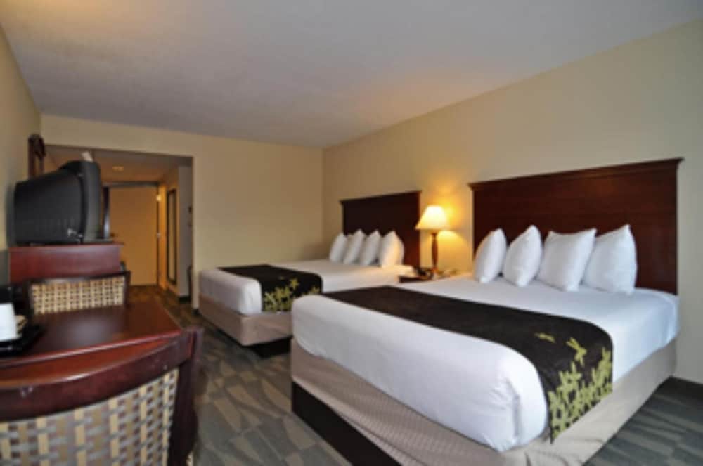 Gold Leaf Hotel of Dewey Rehoboth Beach - photo 23