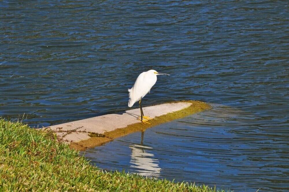 Emerald Island Resort 2676aeid 5 Bedroom Home - photo 29