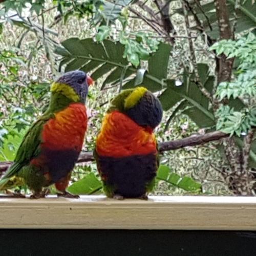 Avoca Beach Cape Cottage — Avoca Beach — photo 2