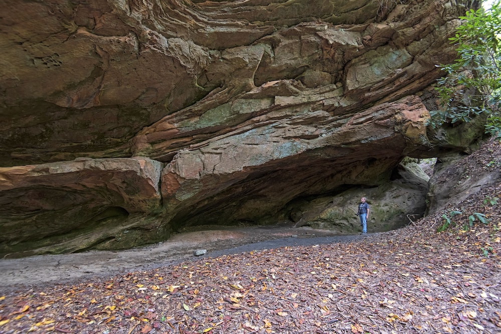 Pine Mountain State Resort Park - photo 30