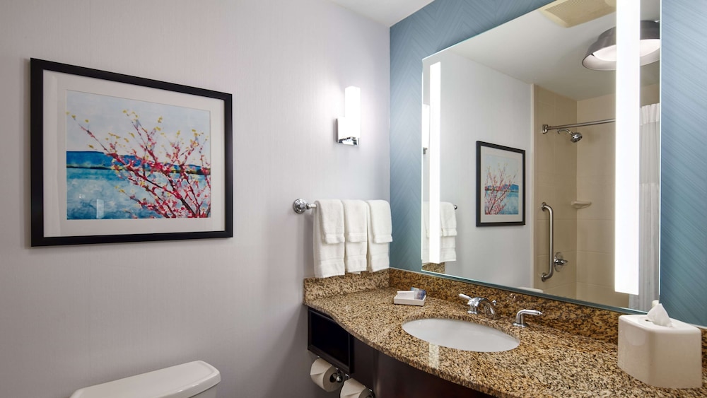 Hilton Garden Inn Merrillville - photo 25