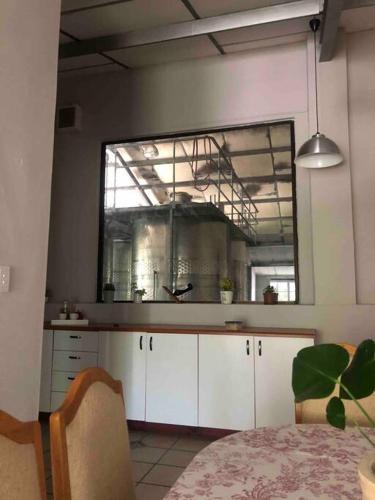 Winecellar Cave on wine farm & where lions roar in Stellenbosch, South Africa