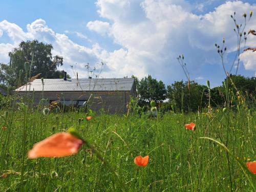 Hytte Relais Randonneur Capacite Max De 9 Personnes — Houffalize