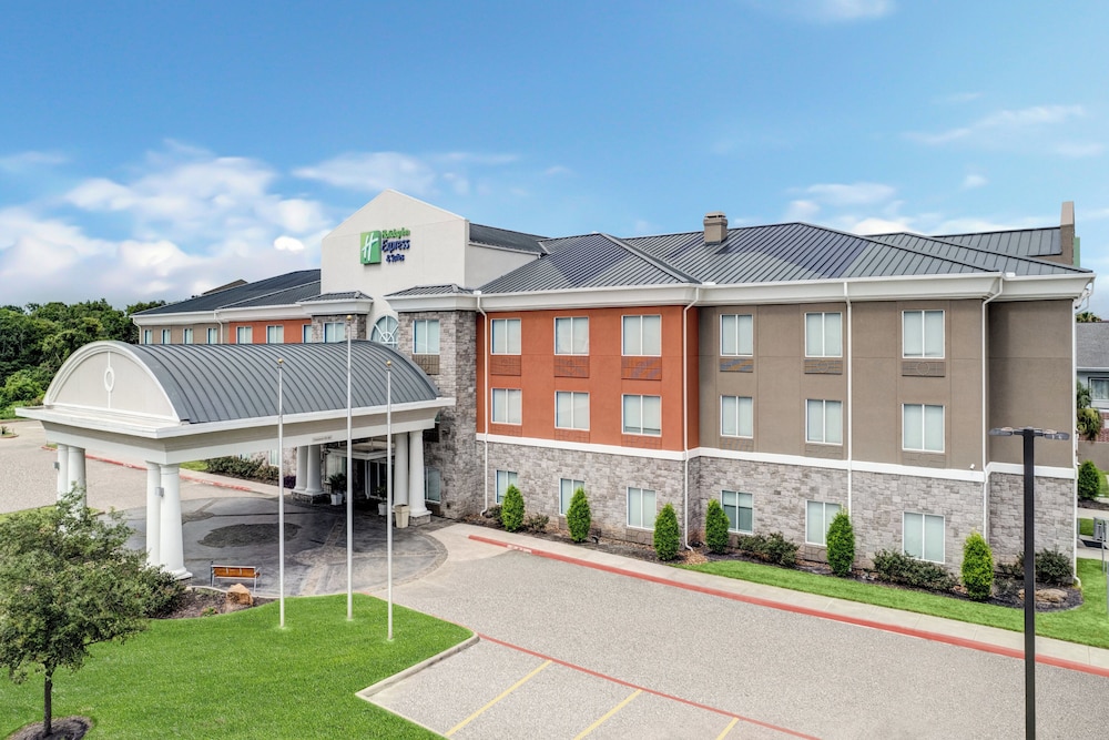 Holiday Inn Express Hotel & Suites Clute Lake Jackson by IHG - photo 51
