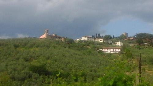 Monica Magnanelli — Lamporecchio