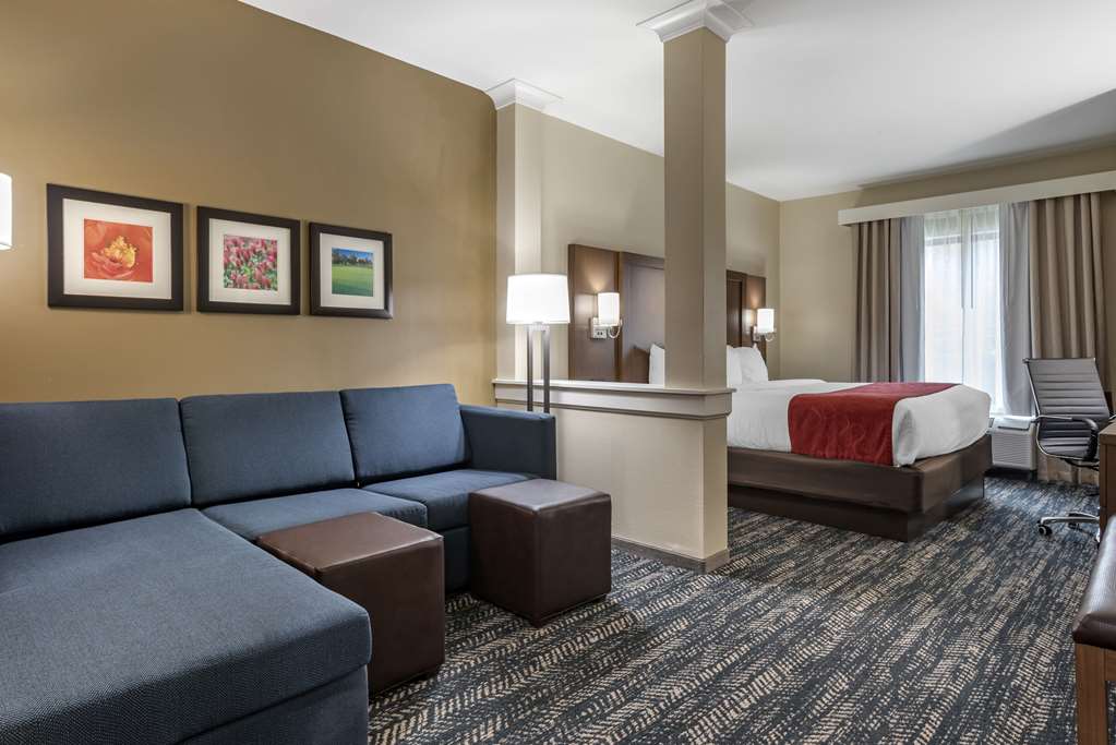 Comfort Inn & Suites Downtown near University - photo 19