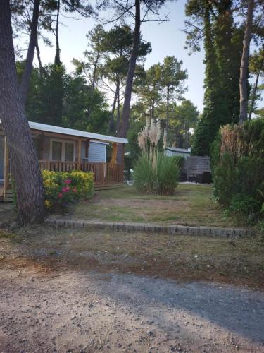 La Margotine — Camiers