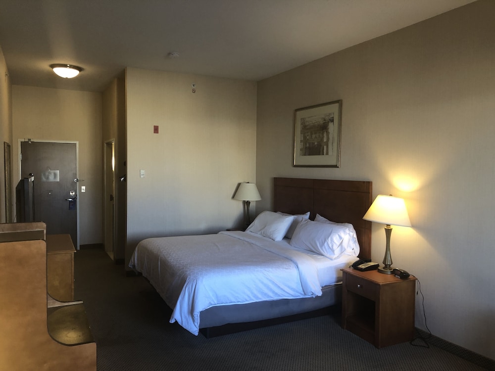 Holiday Inn Express Hotel & Suites Lansing Dimondale by IHG - photo 21