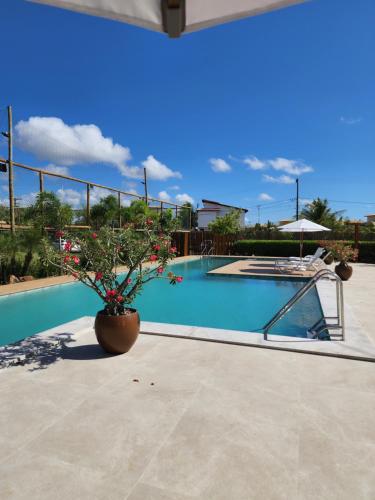 Apto Na Praia De Itacimirim H — 4-Star Luxury Hotel in Camacari, Brasil