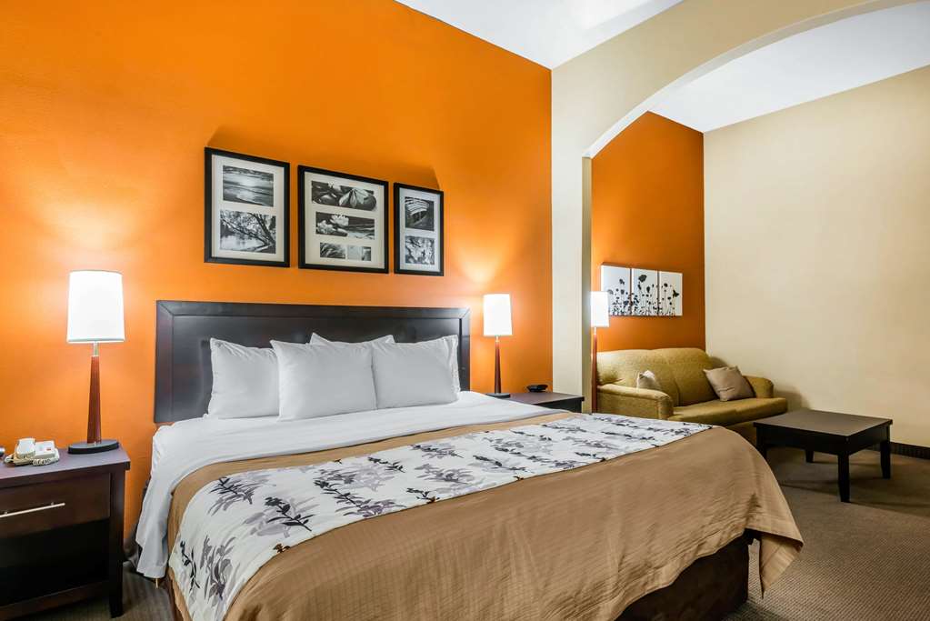 Sleep Inn and Suites Ocala Belleview - photo 21