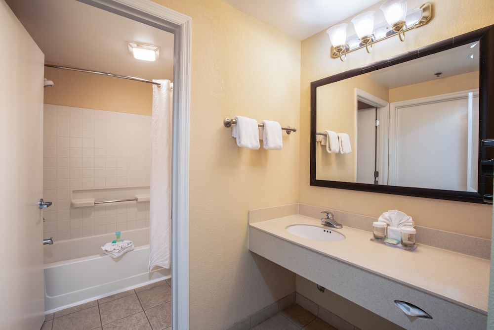 staySky Suites I Drive Orlando - photo 17