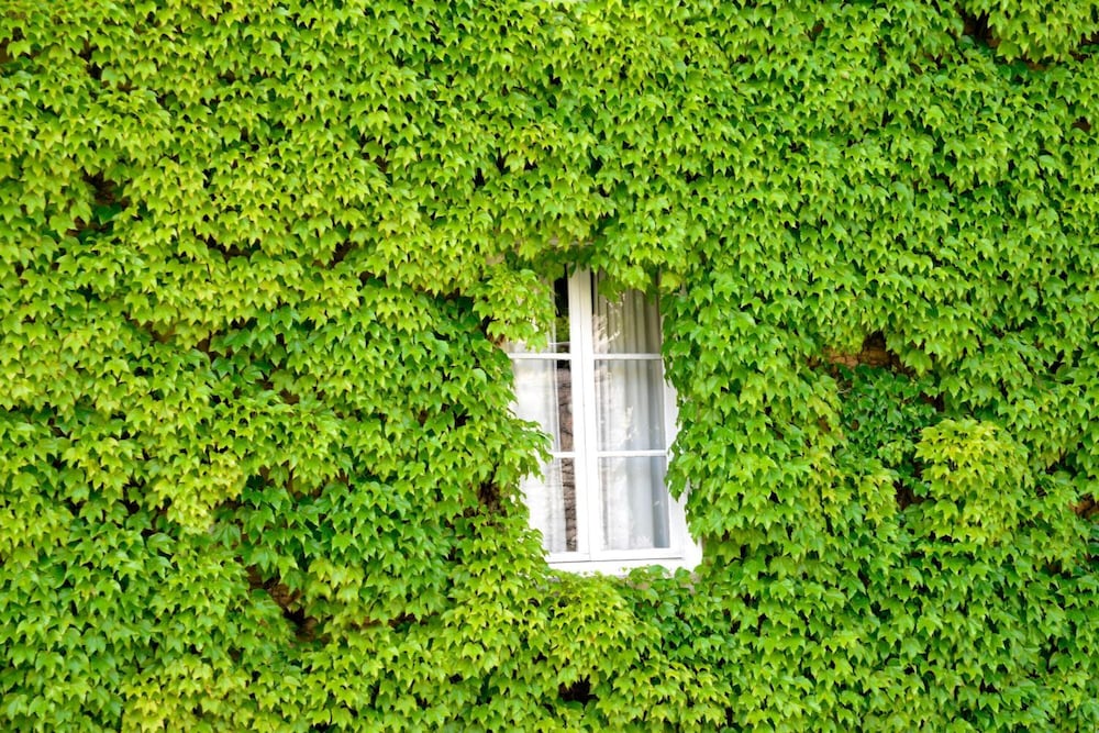 Hôtel de France - carbon neutral hotel in Ornans