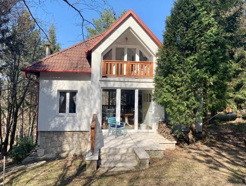 Ház a Pilisben mókus család a kertben in Unknown City, Hungary