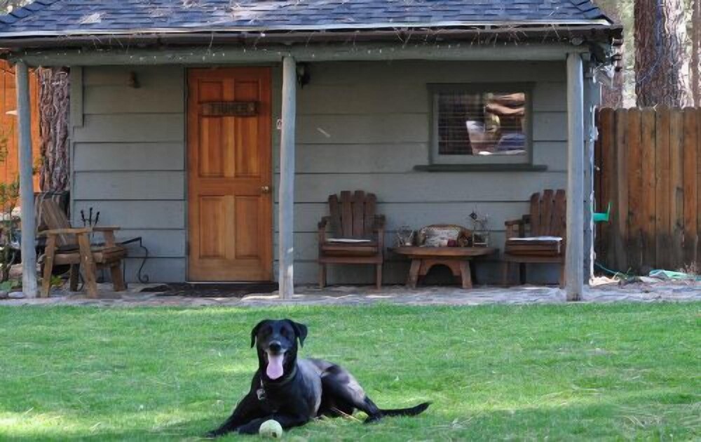 Holly's Place - photo 37