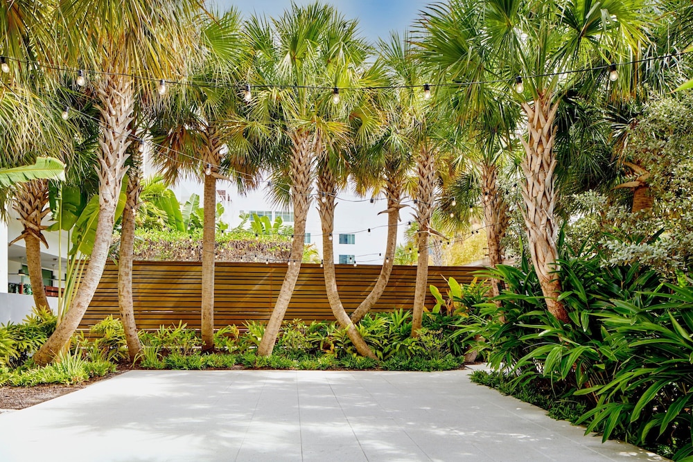The Sarasota Modern a Tribute Portfolio Hotel - photo 99