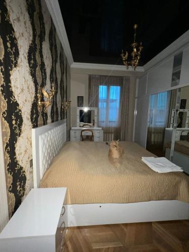 Apartment in the center of the city Vera