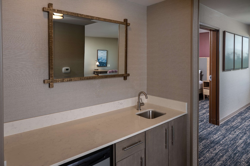 Hilton Asheville Biltmore Park - photo 47