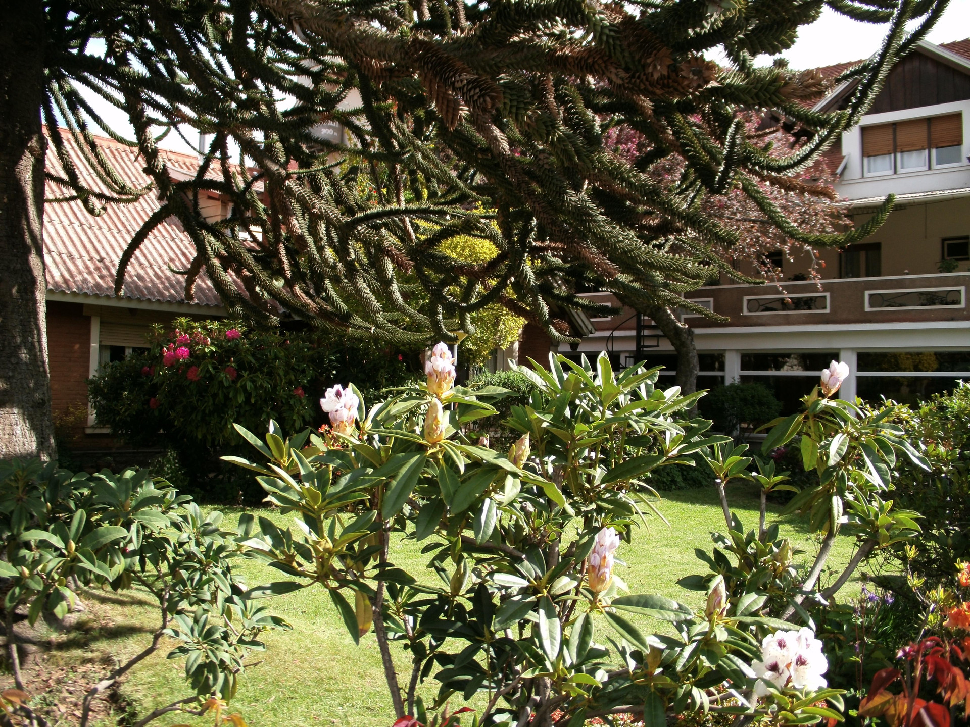 Hotel Crismalu in San Martin De Los Andes, Argentina