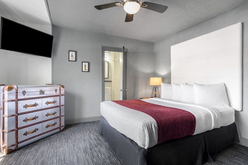 Avalon Hotel Downtown St. Petersburg - photo 17