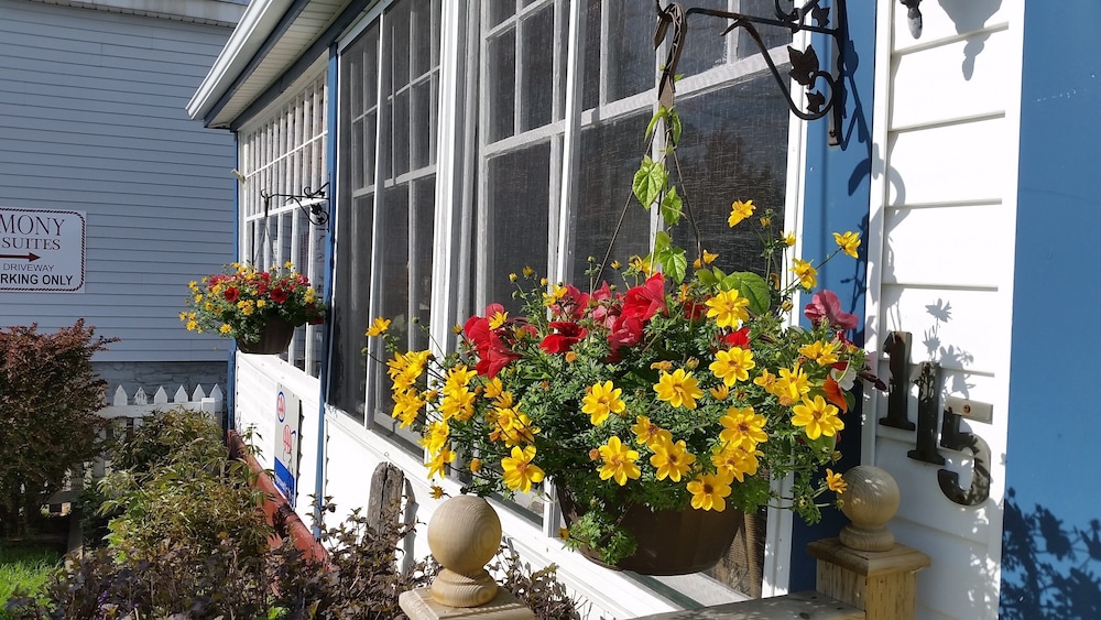 Bayside Inn — Digby — photo 2
