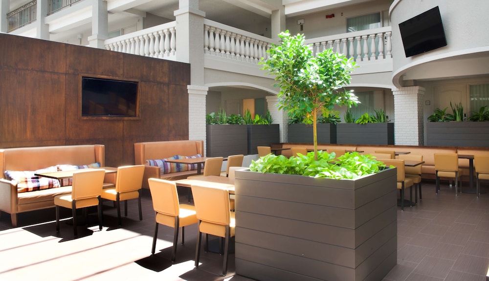 Embassy Suites by Hilton Colorado Springs - photo 54