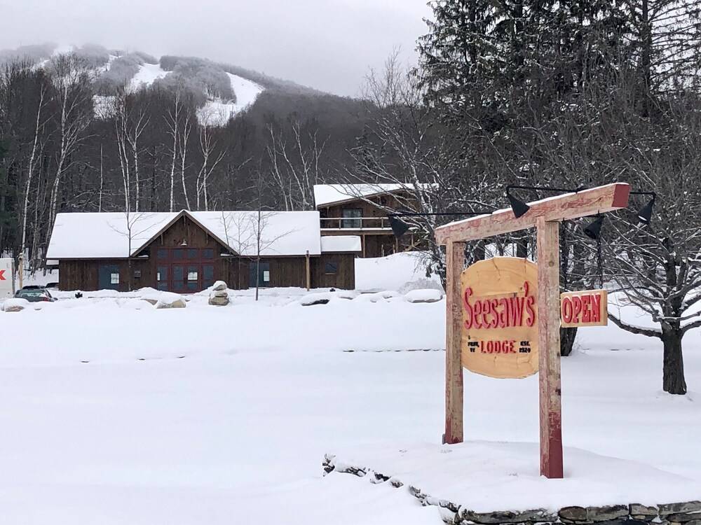 Seesaw's Lodge - photo 22