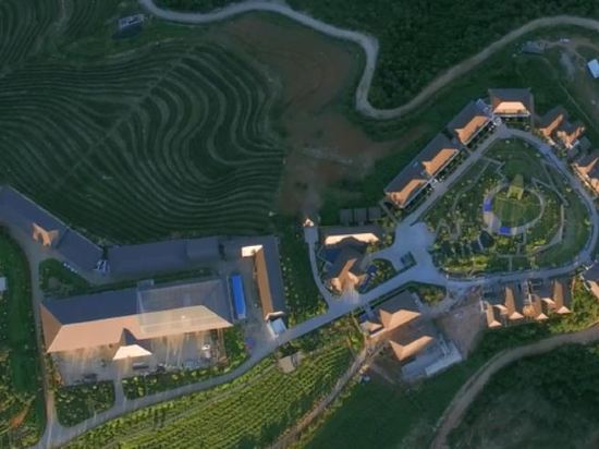 The Nest Tea Estate Resort — hotel in Shuangjiang