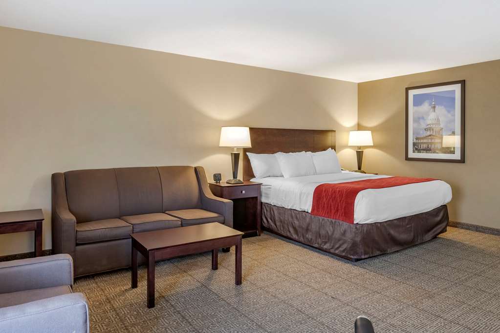 Comfort Inn Lansing West - photo 27