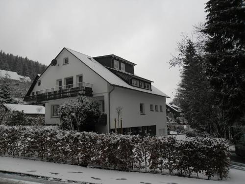 Ferienwohnung Haus Kloosterman — 4-Star Luxury Hotel in Winterberg, Germany