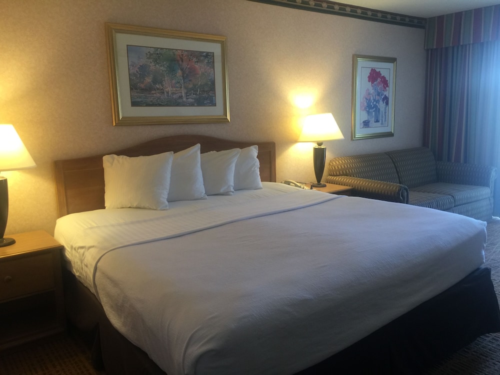 Americas Best Value Inn & Suites Boise - photo 4