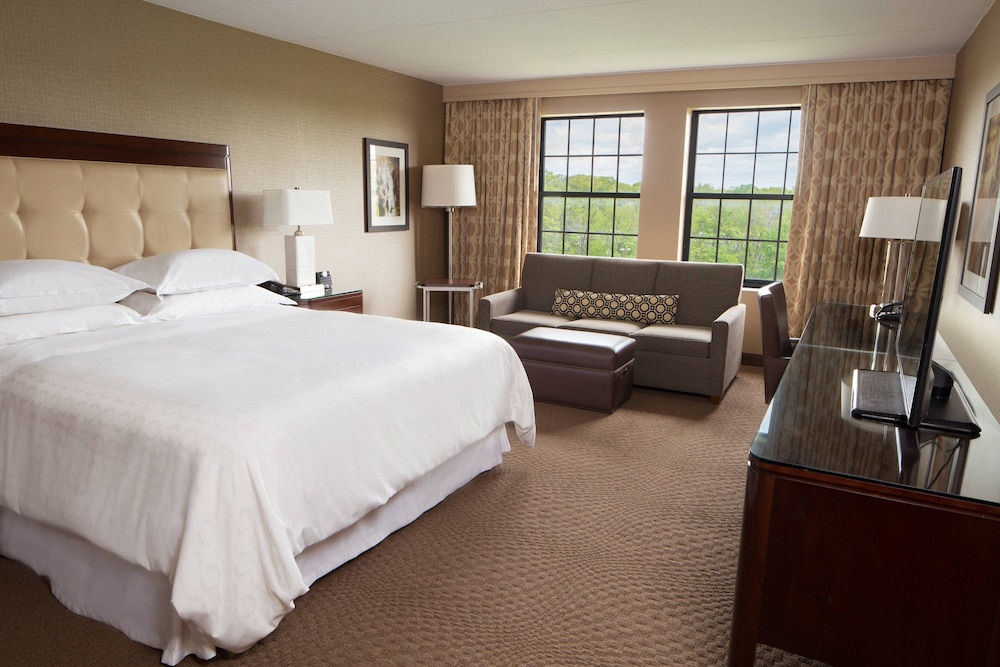 Sheraton Parsippany Hotel - photo 10