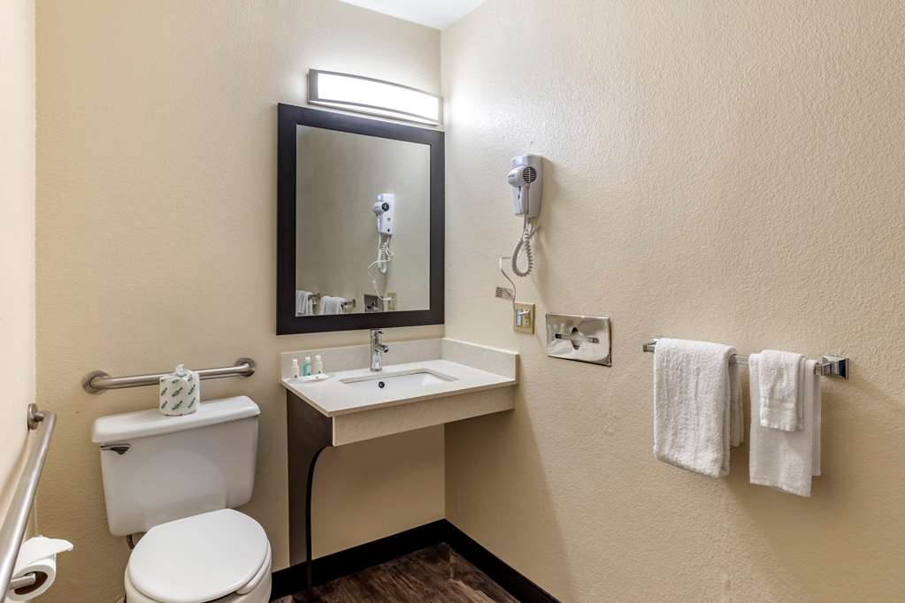 Quality Inn Duluth Atlanta Northeast - photo 8