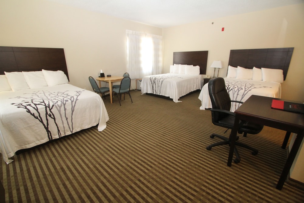 Bowman Inn & Suites - photo 8